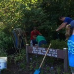 park work photo